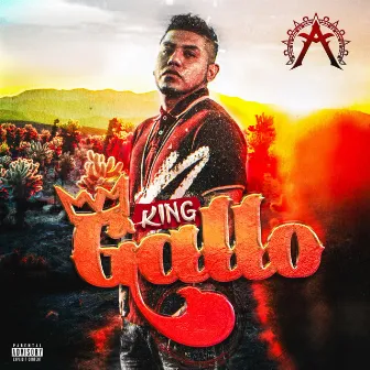 King Gallo by Unknown Artist