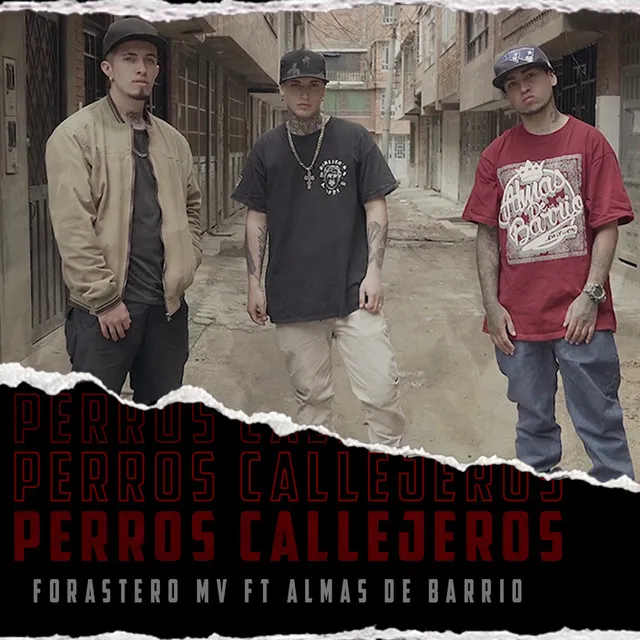 Perros Callejeros