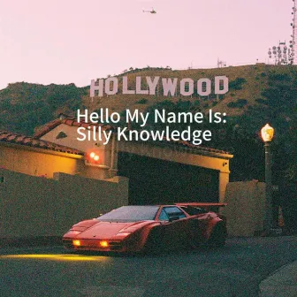 Hello My Name Is: Silly Knowledge by Silly Knowledge