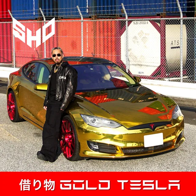 Rental Gold Tesla