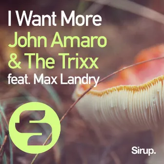 I Want More by John Amaro