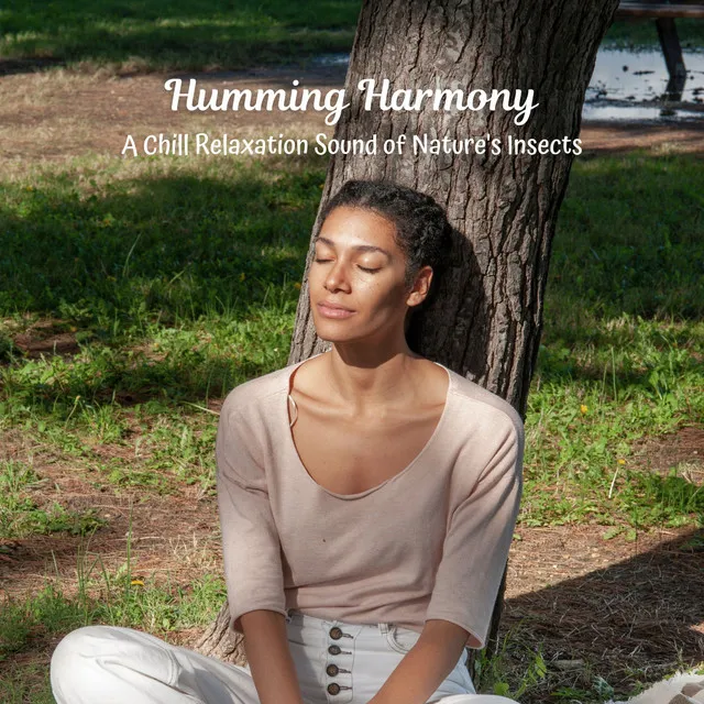 Humming Harmony: A Chill Relaxation Sound of Nature's Insects