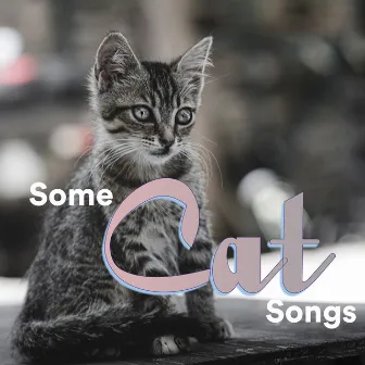 Some Cat Songs by Some Cat Songs