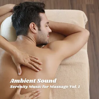 Ambient Sound: Serenity Music for Massage Vol. 1 by Massage Tribe Perfect Meditation