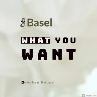 What You Want by Coco Basel