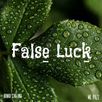 False Luck by Arnav Chelani