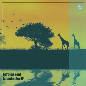 Amaphupho EP by LuToniq Soul