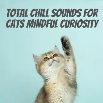 Total Chill Sounds for Cats Mindful Curiosity by Sleepy Cat