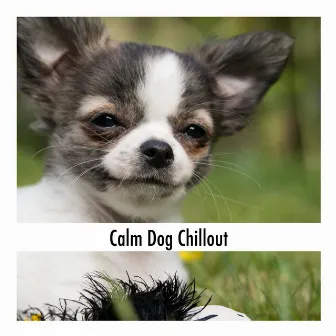 Calm Dog Chillout by Calming Dog Relaxation