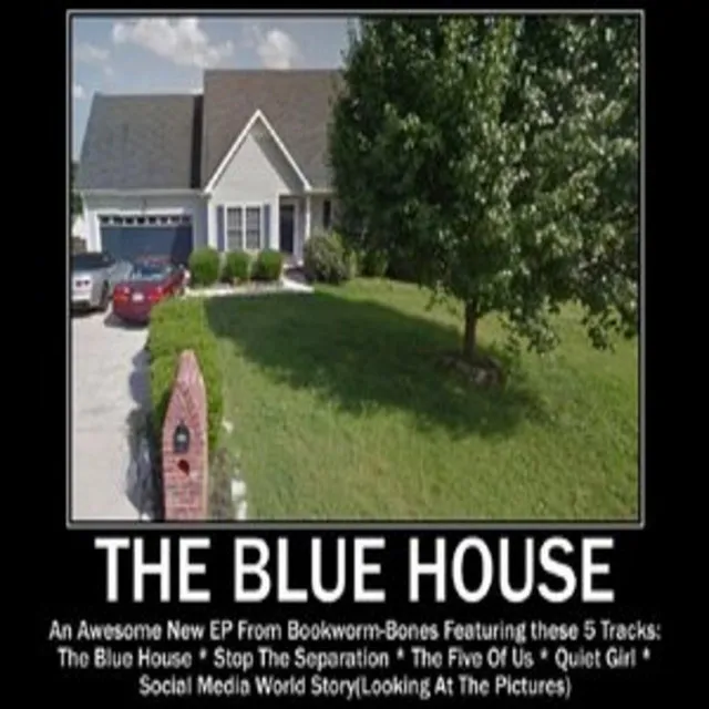 The Blue House