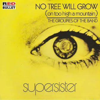 No Tree Will Grow (On Too High A Mountain) by Supersister