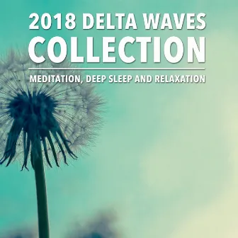 2018 Delta Waves Collection - Meditation Deep Sleep and Relaxation by Sleep Music Delta Waves