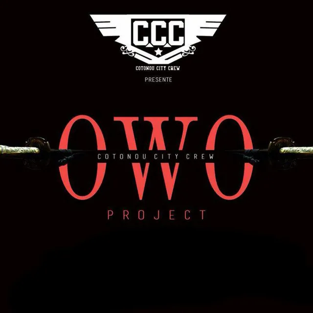 Owo projet