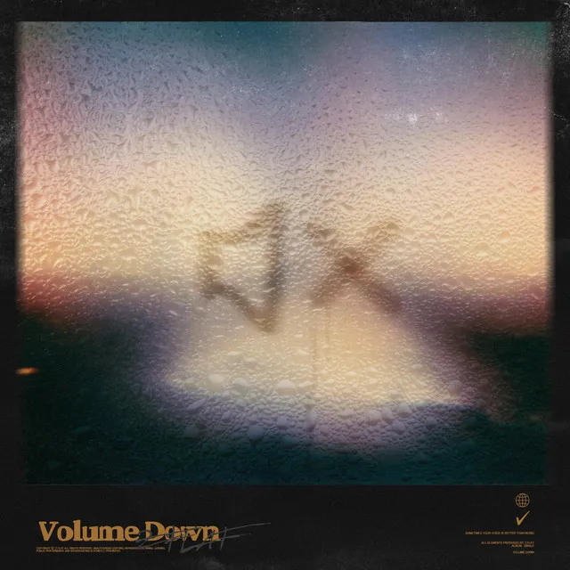 Volume Down