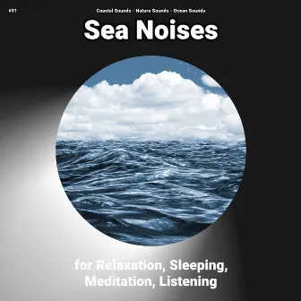 #01 Sea Noises for Relaxation, Sleeping, Meditation, Listening by Coastal Sounds