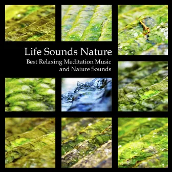 Life Sounds Nature - Best Relaxing Meditation Music and Nature Sounds by Healing Markrain