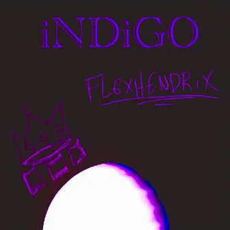 iNDiGO by FlexHendrix