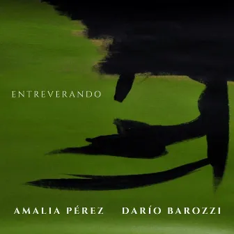 Entreverando by Darío Barozzi