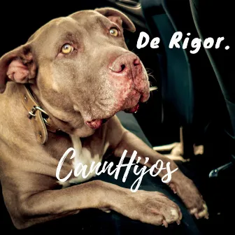 De Rigor by Cannhijos