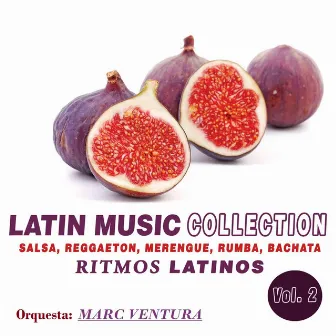 Latin Music Collection: Ritmos Latinos, Vol. 2 (Salsa, Reggaeton, Merengue, Rumba, Cumbia) by Orquesta Marc Ventura