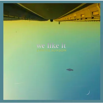 We Like It by Zwanie Jonson