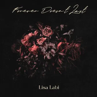 Forever Doesn't Last by Lisa Labi