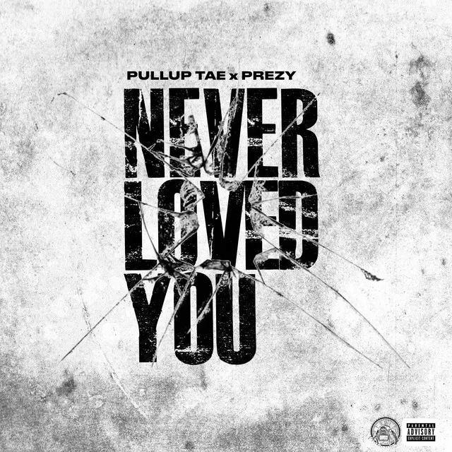 Never Loved You