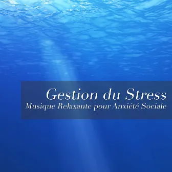 Gestion du Stress - Musique Relaxante pour Anxiété Sociale by Traditional Chinese Music Academy