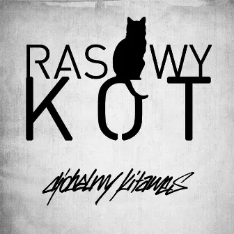 Rasowy kot by KitaNes