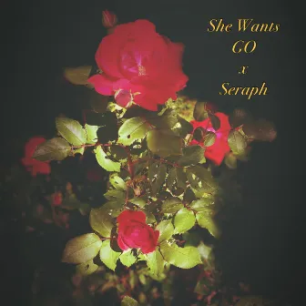 She Wants by GO