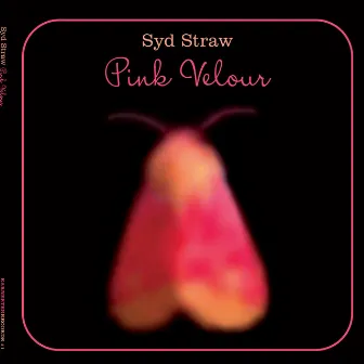 Pink Velour by Syd Straw