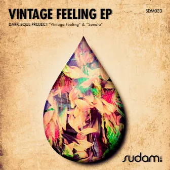 Vintage Feeling EP by Dark Soul Project