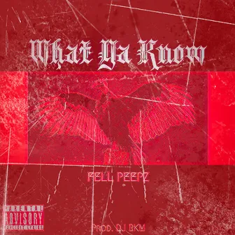 What Ya Know by Fellpeepz