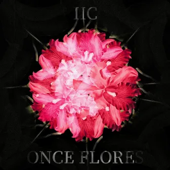 Once Flores by Istituto Italiano di Cumbia