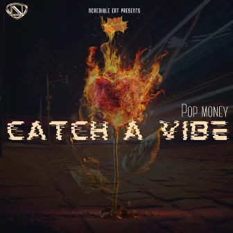 Catch a Vibe by Pop Money