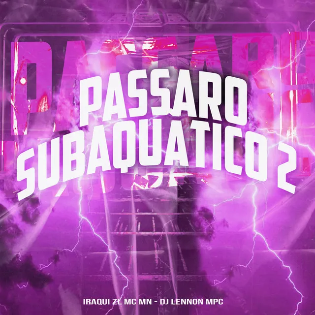 Passaro Subaquàtico 2