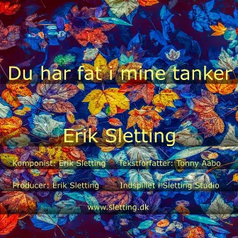 Du har fat i mine tanker by Erik Sletting