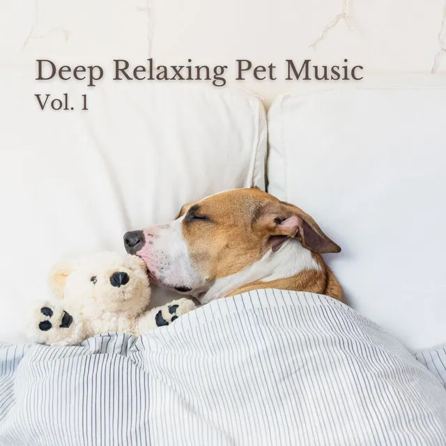 Calming Music for Anxious Pets