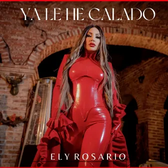 Ya Le He Calado by Ely Rosario