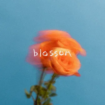 Blossom by The Summer Set