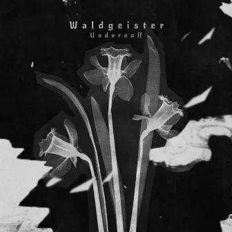 Waldgeister by Underooff