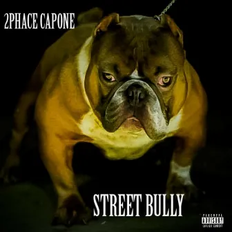 Street Bully by 2PHACE CAPONE