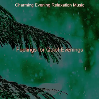 Feelings for Quiet Evenings by Charming Evening Relaxation Music