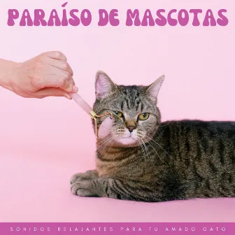 Paraíso De Mascotas: Sonidos Relajantes Para Tu Amado Gato by Gatos somnolientos