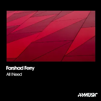 All I Need by Farshad Ferry