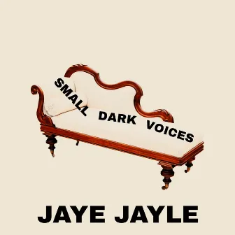 Small Dark Voices by Jaye Jayle