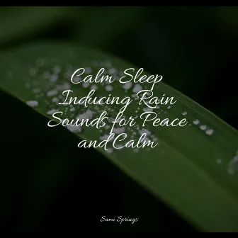 Calm Sleep Inducing Rain Sounds for Peace and Calm by Unknown Artist