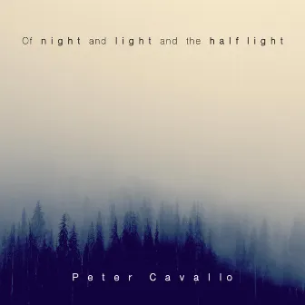 Of Night and Light and the Half Light by Peter Cavallo