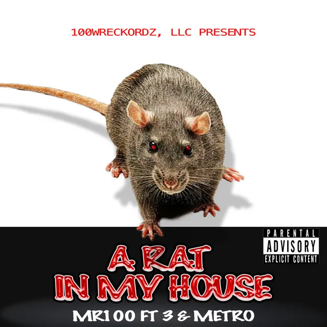 A Rat in My House feat 3 & Metro