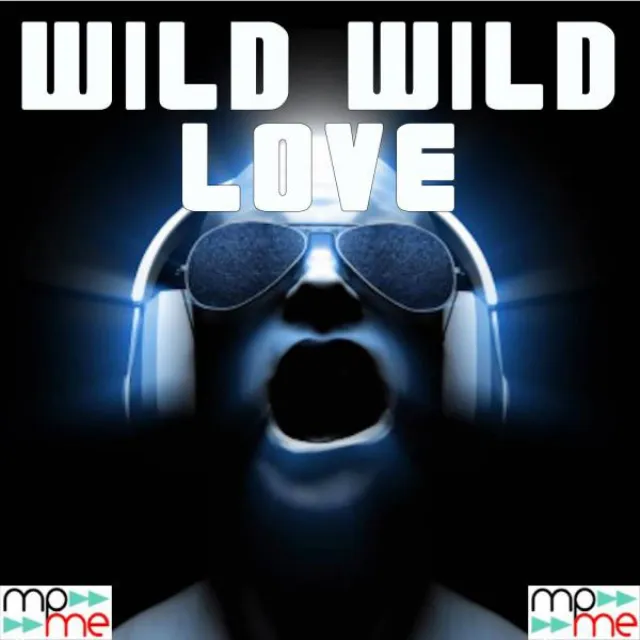 A Tribute to Pitbull and G R L 's Wild Wild Love